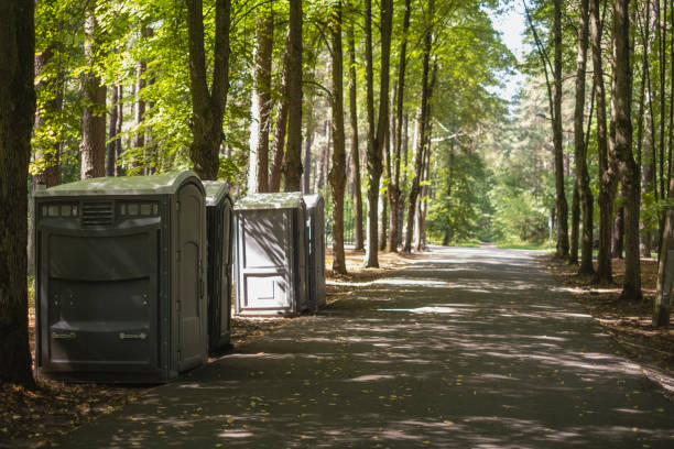 Best Luxury portable toilet rental  in Frankfort, MI